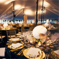 International Corporate Event Under Customized Tents. Mount Vernon, Alexandria, VA.